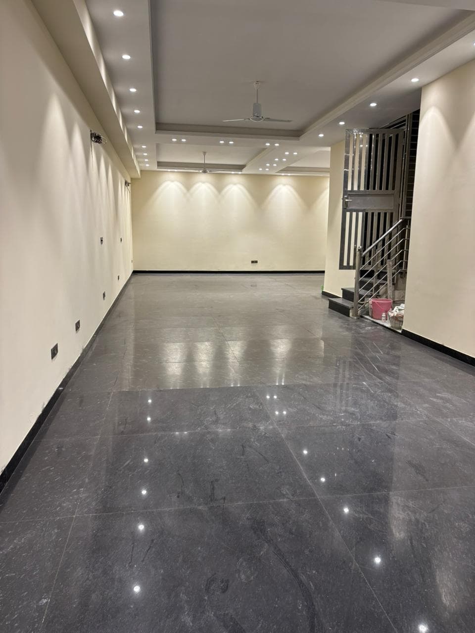215 Yds Brand new Basement DLF 2 on Sale